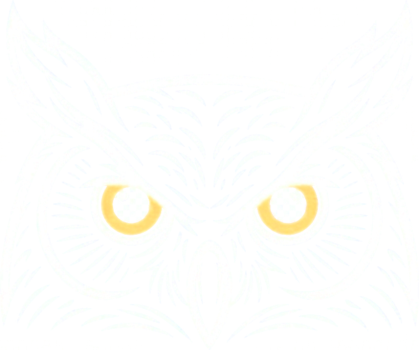Research On Knowing owl logo